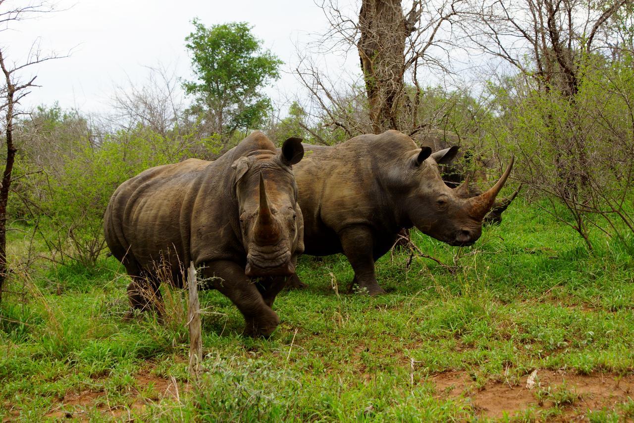 Marloth Park Hippo House Villa ภายนอก รูปภาพ